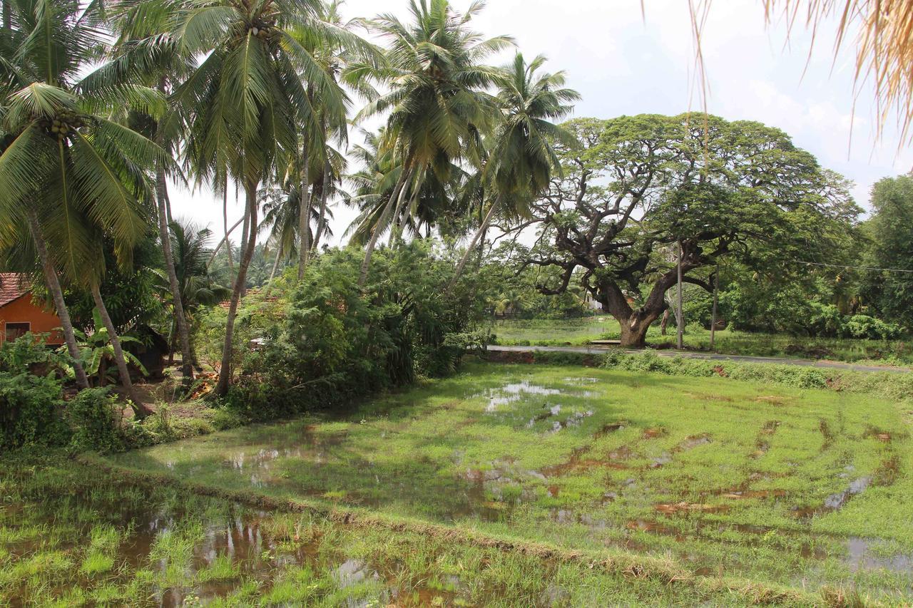 Yalabnb Tissamaharama Exterior foto